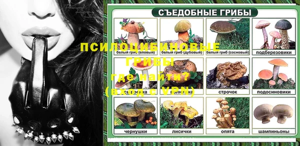 прущие крисы Бородино