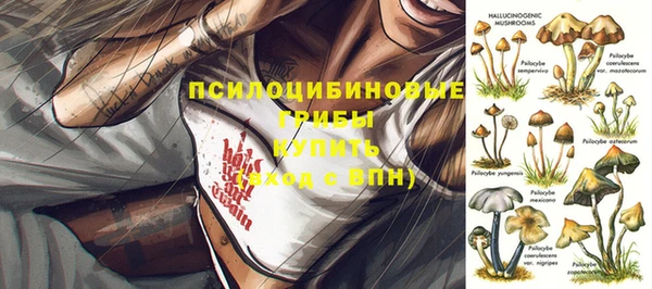 гашиш Володарск