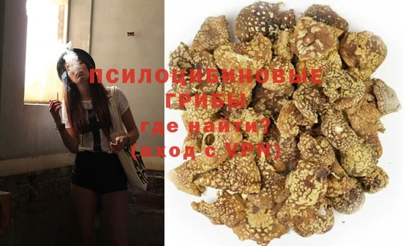 сатива Волосово