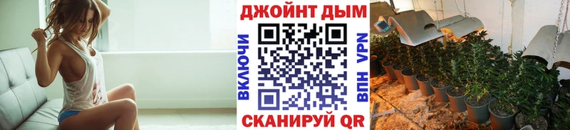 Марихуана планчик  Дно 